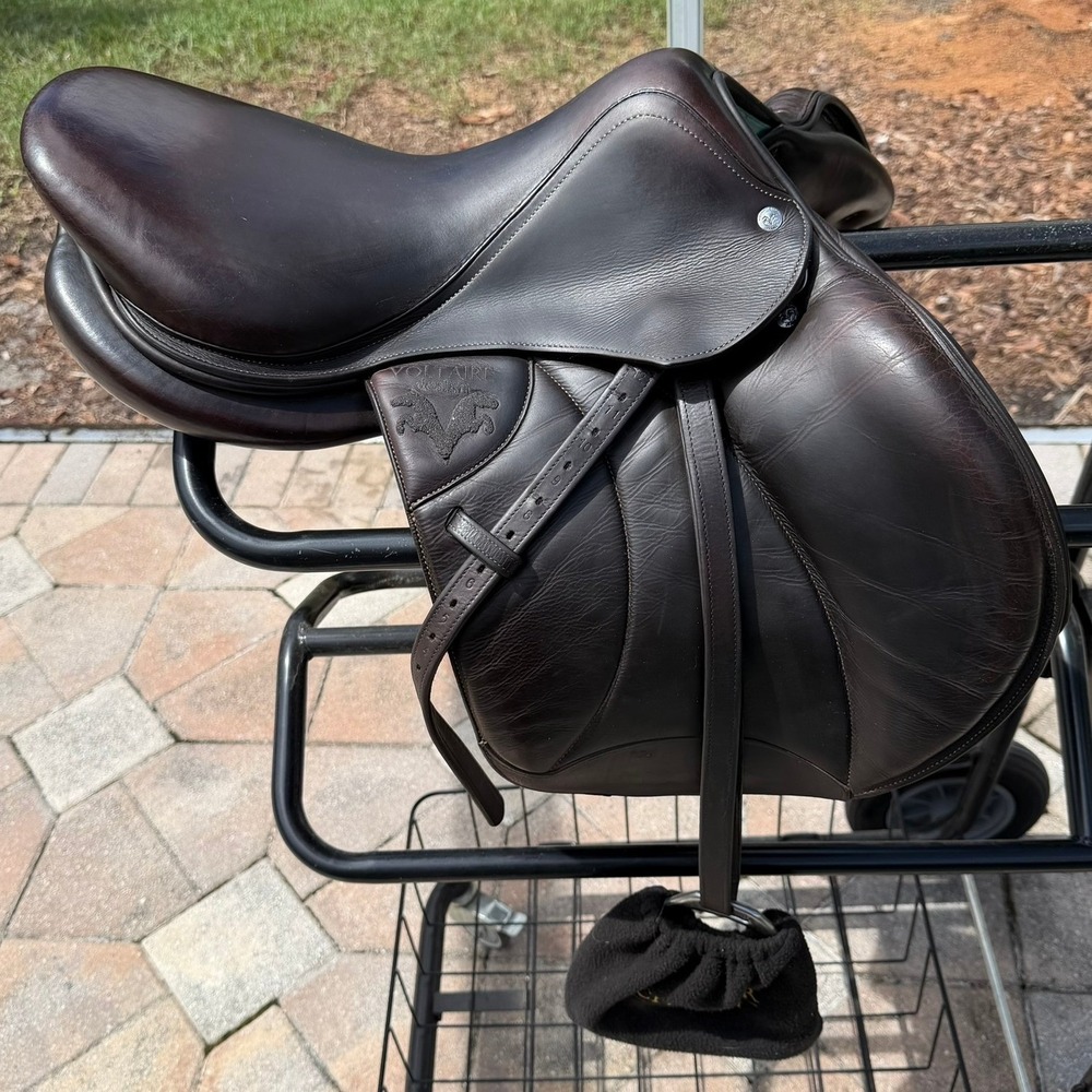 2019 Voltaire Palm Beach Saddle Unisex 17 Brown Crystal Logo Jumping 2A Flap